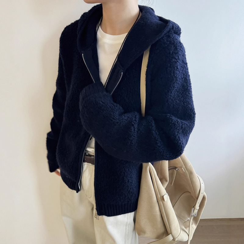 Korean Lazy Thickened Autumn and Winter New Warm Particle Lamb Wool Zipper Hooded Jacket Women's Versatile Sweater Cardigan