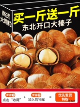 榛子东北开口大榛子新货大颗粒美原味2024坚果新鲜炒货年货批发