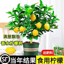 ˮʘˮԿʳÝúB̨ļ҃ȾGֲ