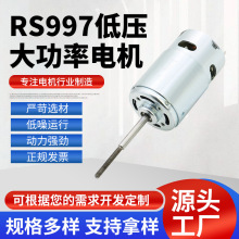 RS997低压大功率拖网船航模割草机电机 低压大功率电机