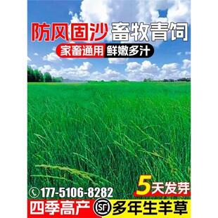 ��ݷN�џoâȸ�����|���|é�ݶ������ļ����ݾG���o�¹����ݷN��