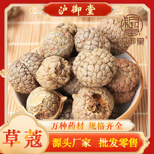 ��ϲ�ޢԭ�a�� �ݿܲݶ�ޢ ��� �ݿ������C�u�˲ݿ��{ζ�� ����