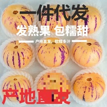 石林人参果新鲜水果10斤大果黄肉云南人叁果树上熟人生果圆果整箱