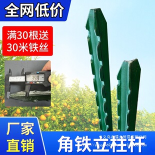 ���������U�����F�z�W�������������PY���T�F���^��֧�ΗU���ټ�