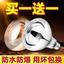 浴霸灯泡取暖灯275瓦防爆老式卫生间浴室led中间照明壁挂式灯暖