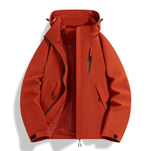 ����¹�Όӛ_�h���ЊA�˲����L���ﶬ�¿����C����������Ů����