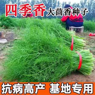 ����N�Ӷ�β��ո��С�~����N���ļ����N�������ϷN���߲˷N��