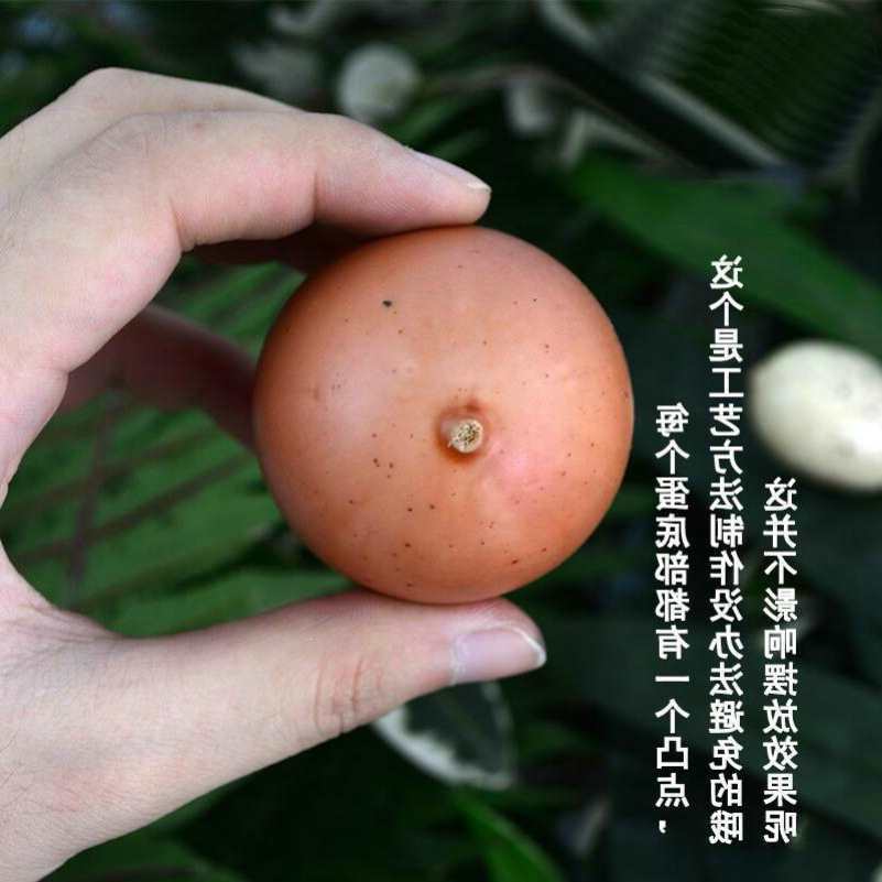 鸡蛋鹅蛋鸭蛋鸵鸟蛋恐龙蛋鹌鹑蛋巨蛋假鸡蛋模型道具食用
