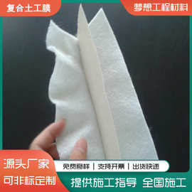 复合土工膜 复合膜批发一布一膜 两布一膜价格 防渗土工布厂家