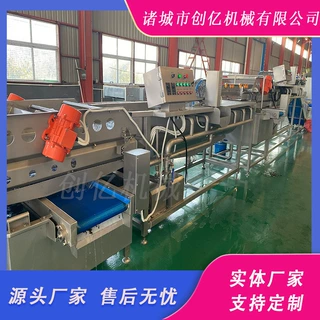 涡流气泡洗菜机 定制芹菜段菜椒块清洗振动沥水一体机 藕片清洗机