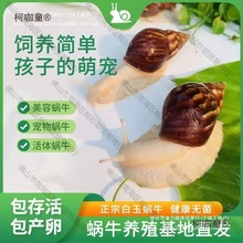 ����΁ţ���l�W���^�p����΁ţ�[�����l����΁ţ��ֳ�^�p��̫��