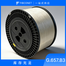 Դͷ��������G.657.B3 ����������뾶 5mm�羳���ڹ�����
