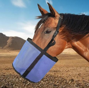 ��Ʒ�R�Ò첱��ϴ����������{�����R�dͬ����B�R���ב���ιʳ��