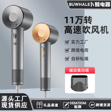 Hair dryer���Q���L�C����ؓ�x���o�l���L���ٸɏS���� Hairdryer