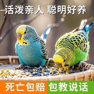 ��Ƥ�W�^���B���B녰����B�H�˿ɌW�fԒ�B�ĸһ�������Pĵ����