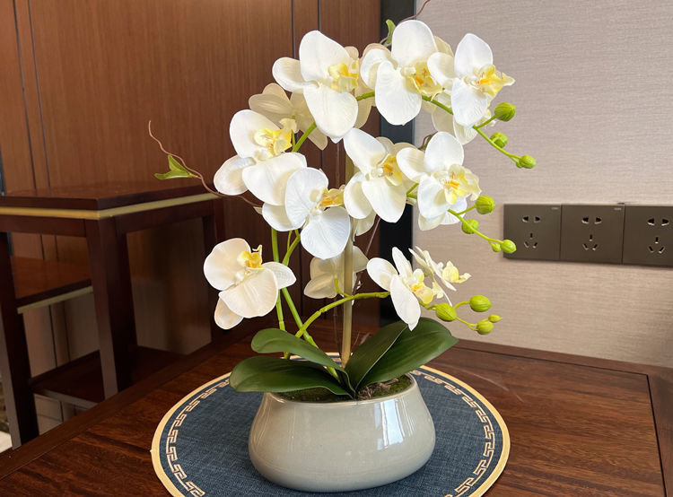 099e3f62-e193-48a3-a9bf-7c607da48124.jpe