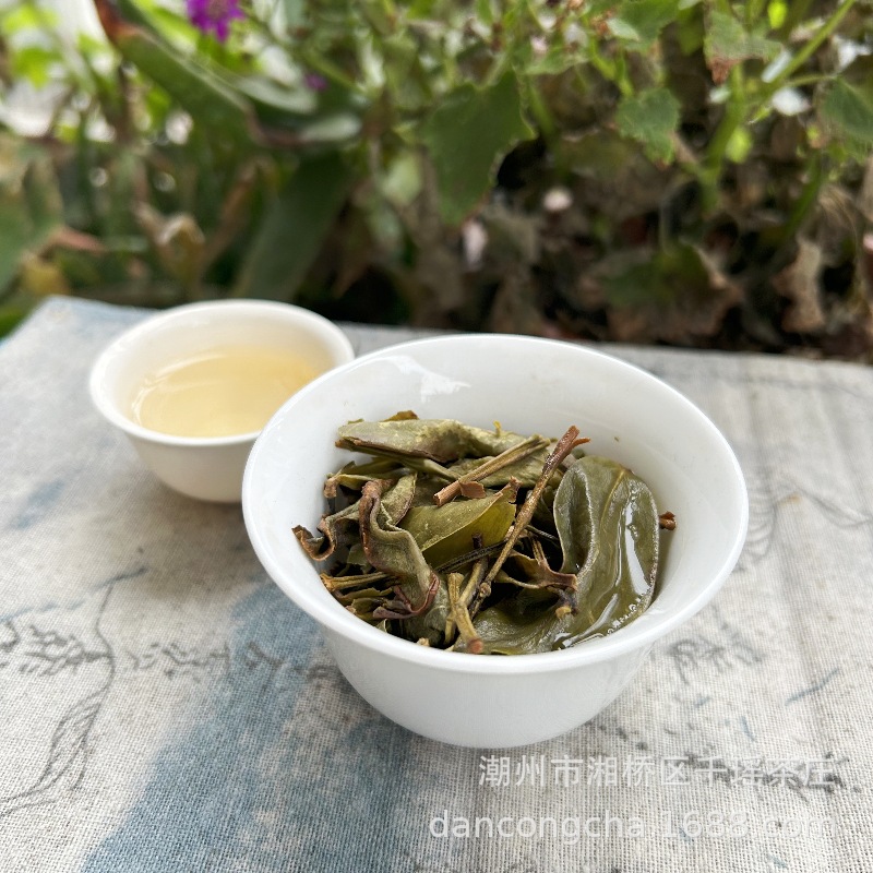 微信图片_20240329195202_副本