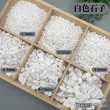 白色石子园林景观装饰用白石子白色碎石砾石水磨石石子