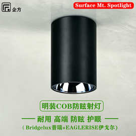 明装LED射灯 商用工程吸顶免开孔COB全光谱家用防眩护眼筒灯跨境