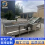 气泡菠菜芥菜清洗机