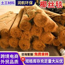 Ҭ�z̺�o��ֲ��̺���B�G������Ҭ�w�S̺�ӵ�߅�¹����h��Ҭ�z̺