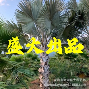 �������������l �����؈�r �����؃r�񹫈@�G�������ؘ���ع���