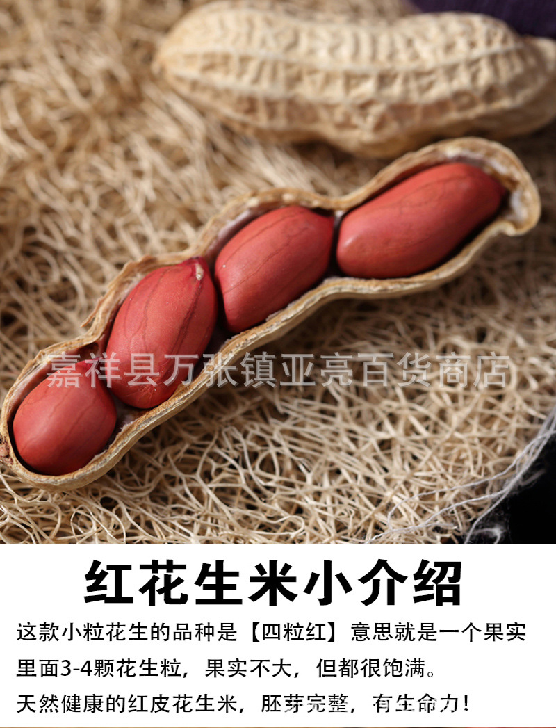 紅花生米-4.jpg