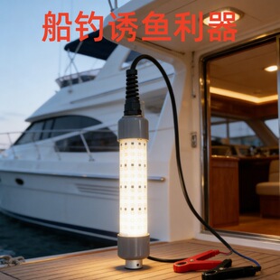 12Vˮ��100W�T�~�����~����ˮ����ˮ�º��ҹឱ���N�첶�~��