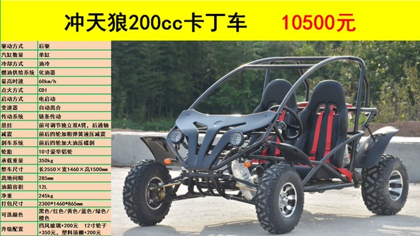 Large 200cc kart