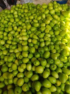 �������rˮ�������Fժ����������������ЋDˮ�������ĸ�ʿ