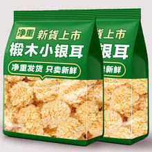 【新货】椴木小银耳批发古田新鲜无熏硫白木耳糯耳莲子百合银耳羹