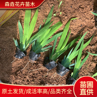 �Sβ����ˮ�� �S���ѻ��� �������l���Gˮ���Sβ�� ���R�����Sβ