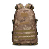 Climbing sports capacious backpack, worn on the shoulder, 3D