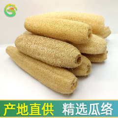 天然丝瓜络老丝瓜瓤刷锅洗碗耐用干丝瓜筋去油去污百洁布跨境专供