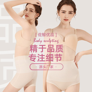 203노и�����ѝ һƬʽ���������ո����ήa�������������ǃ�ѝŮ