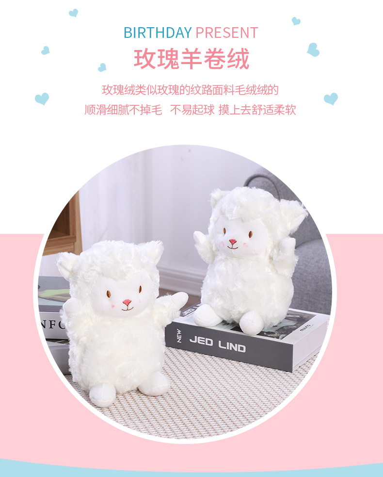 5详情页_05.jpg