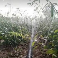 ΢����1��5���r�Ç������ι�������ˮ�����ܛ�܇�ˮ�ܹ�ȉ�����