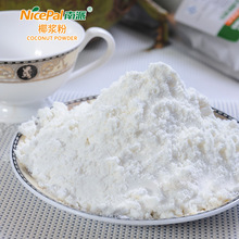 海南厂家南派椰浆粉A101食品原料水果饮料代餐海南特产椰子粉1kg