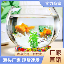 厂家直供D球鱼缸透明加厚玻璃圆球带底水培绿萝水养植物玻璃批发