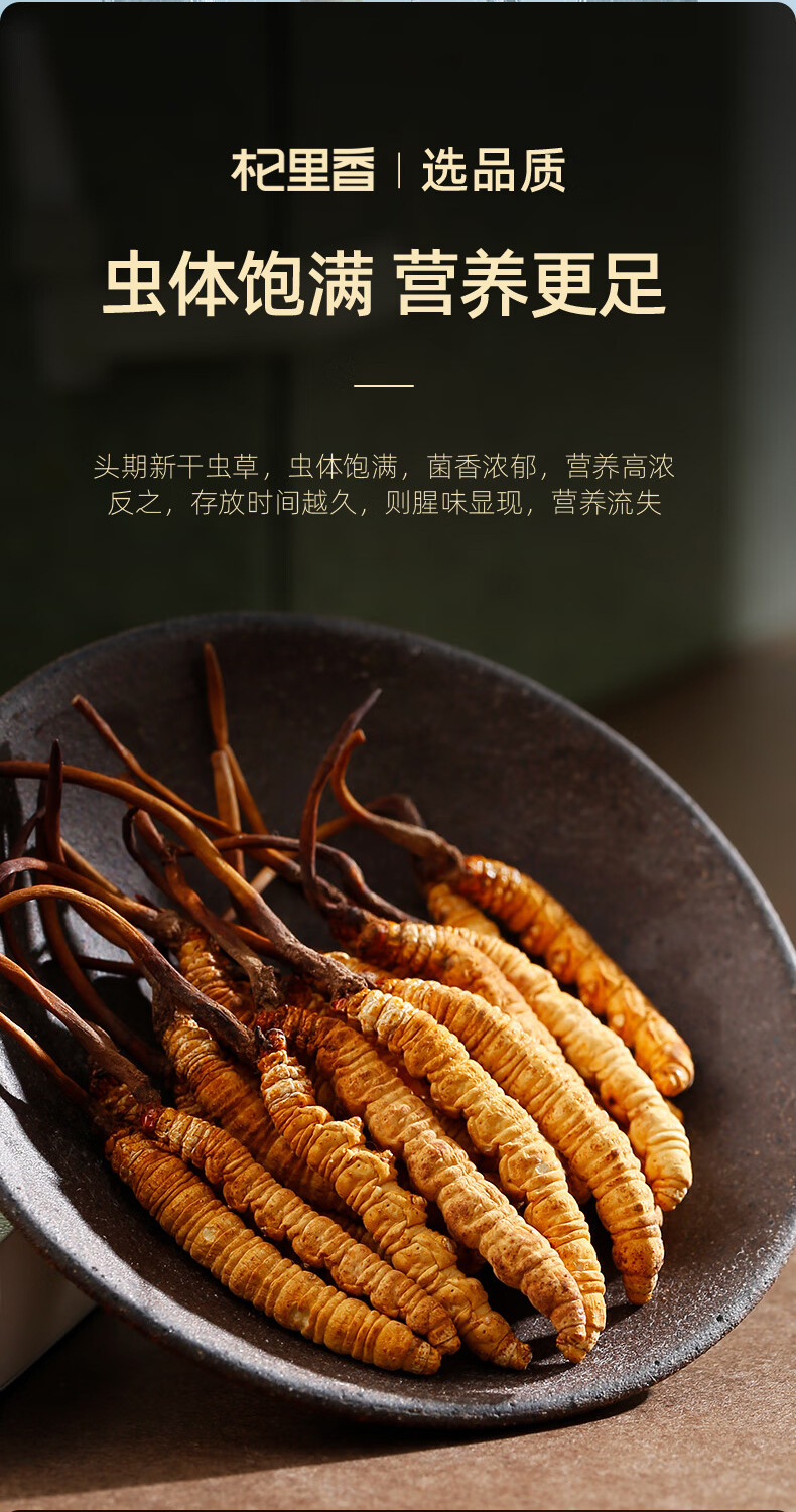 Premium Cordyceps Sinensis Dried Herb 1g Box 5 Stems Whole Fruiting Bodies for Traditional Soup and Decoction quality and texture