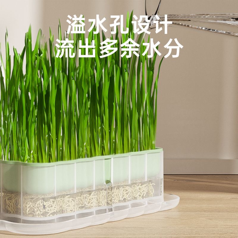 Nueva caja de hierba para gatos, caja hidropónica, bandeja para plántulas de semillas de trigo, hierba hidropónica sin suelo, menta para gatos, bocadillos para gatos