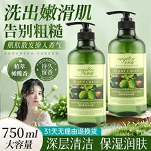 包邮卡伊莲橄榄洗澡沐浴露持久留香控油滋润去屑洗发露护发素套装