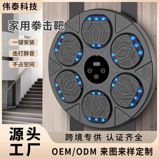 Cross-Border Music Boxing Target Smart Bluetooth Boxing Training Wall Target Fighting Boxing Machine Children and Adults Sanda Decompression