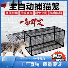 捉野猫流浪猫家用野外捕捉器工具捕猫笼全自动捉猫大号跨境专