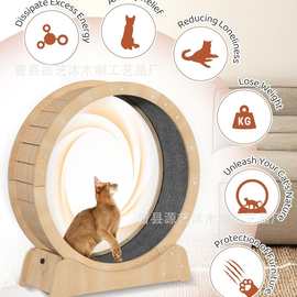 木质宠物猫狗跑步机大号静音家用大型猫咪健身运动跑轮猫爬架厂家