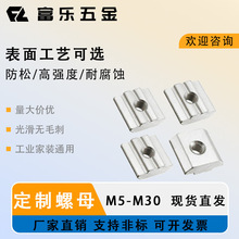 T型螺母型材配件 2A01.CD.01 工厂销售铝型材配件 槽10 M6 M8 镀