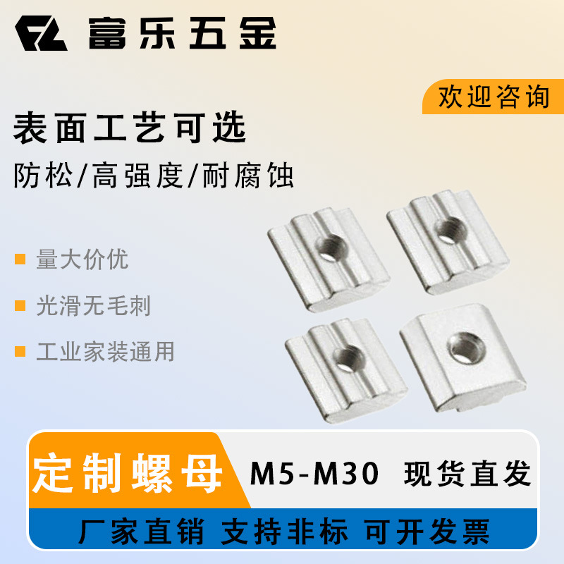 T型螺母型材配件 2A01.CD.01 工厂销售铝型材配件 槽10 M6 M8 镀