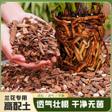 �m���������ɘ�Ƥ�w�������m�����m�Nֲ�m�ƌ��ø߼�ֲ�ϠI�B����