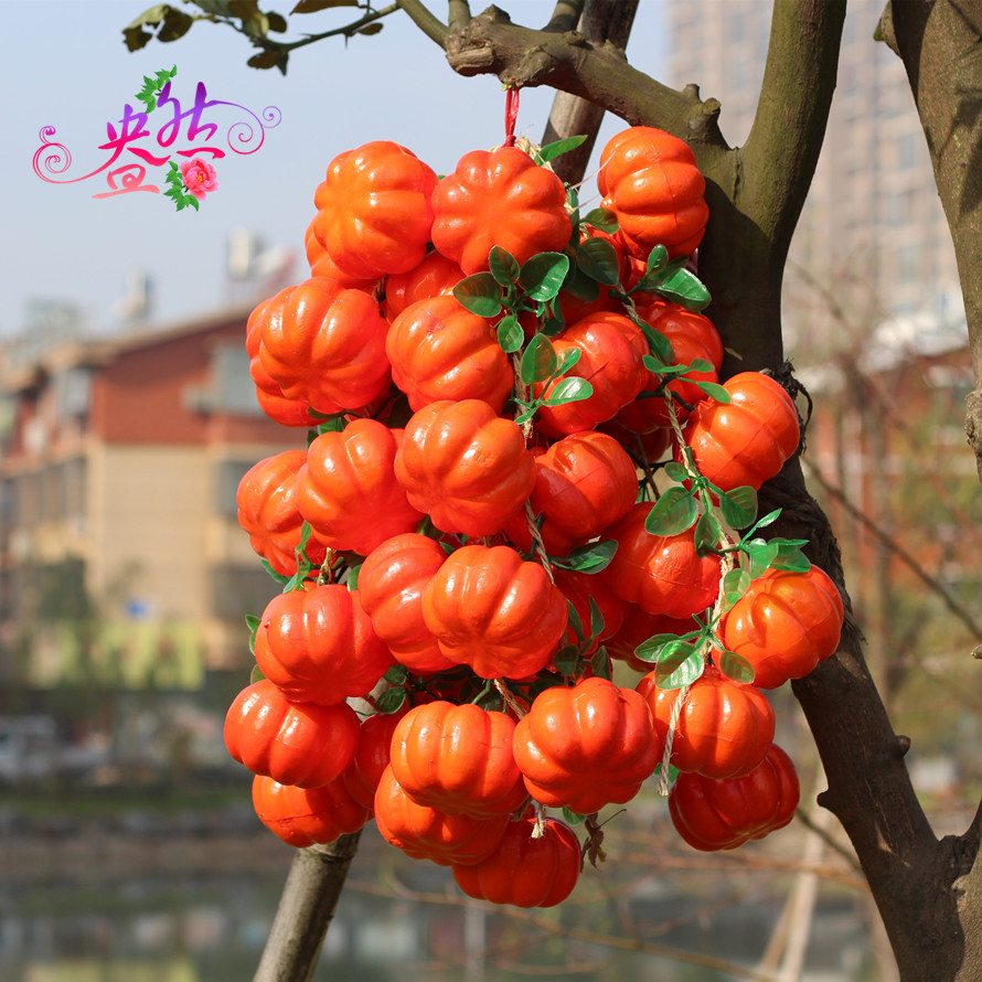 TB2tgA2jXXXXXb_XXXXXXXXXXXX_!!