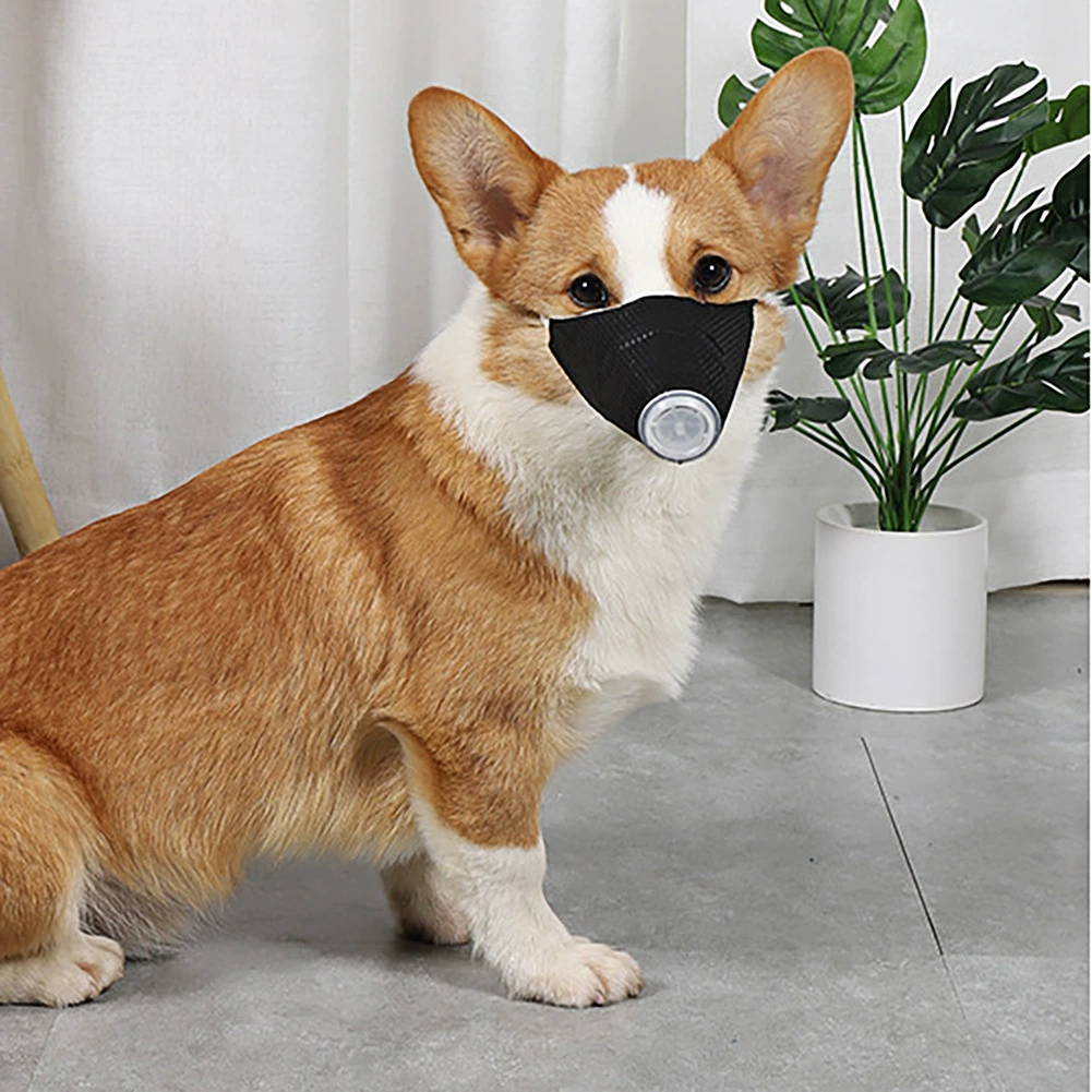 Защитная собака морда набор ПЭТ собака маска черная ПЭТ маска с дыхательным клапаном собака респиратор